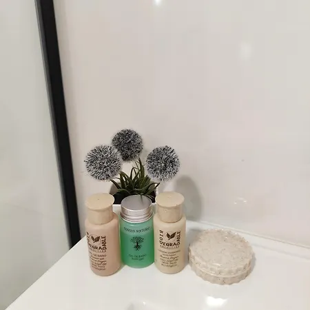 Lujo Y Confort En Ubicacion Privilegiada Centro * Oviedo